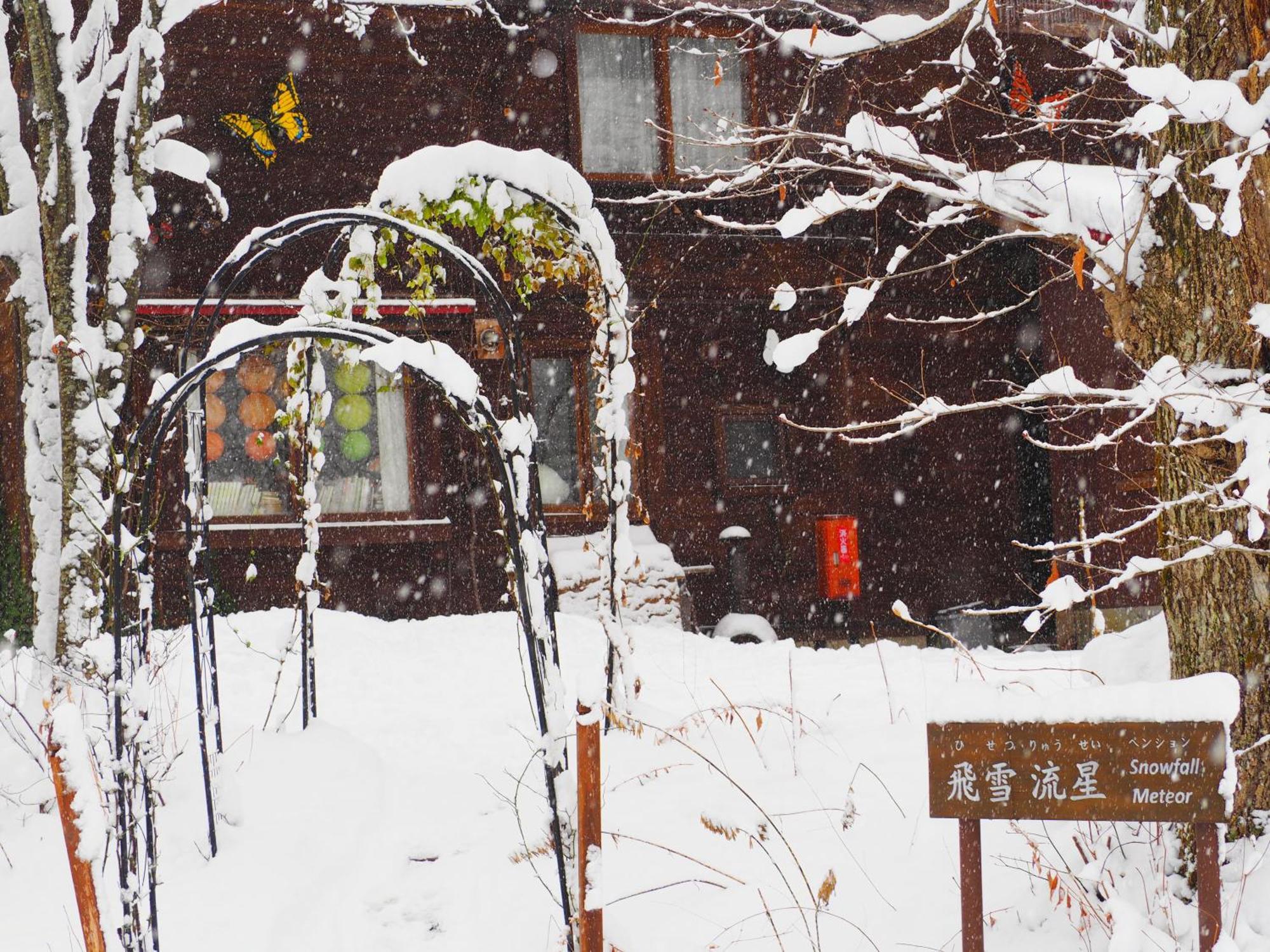 Snowfall Meteor 飛雪流星 上山市 外观 照片